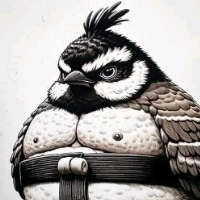 ailton Avatar