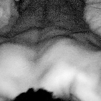 xsinnedu Avatar