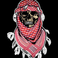 skomkill23 Avatar