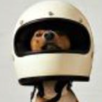 safadocol Avatar