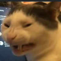 jenn7171's Avatar