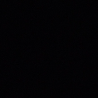 Carlos_Gerardo_02的化身