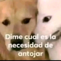yonal Avatar