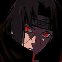 anus509 Avatar