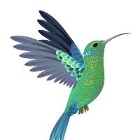 Filo Avatar