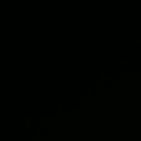 Lucipxx's Avatar