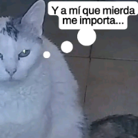 fenna Avatar
